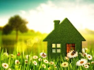 Read more about the article Eco-Friendly Roofing