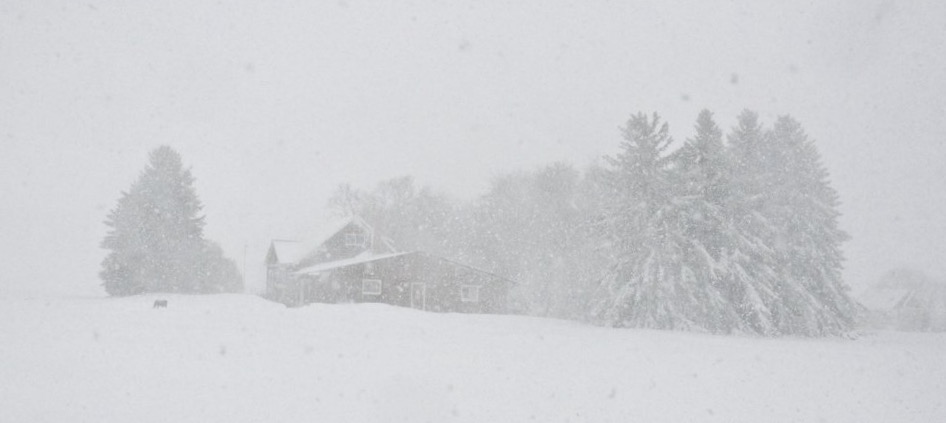 You are currently viewing Getting your Tile Roof ready for winter.
