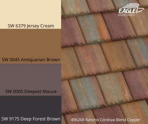 Eagle Taupe Color Ideas