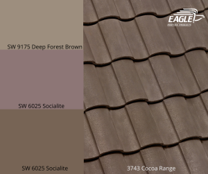 Eagle Capistrano Browns