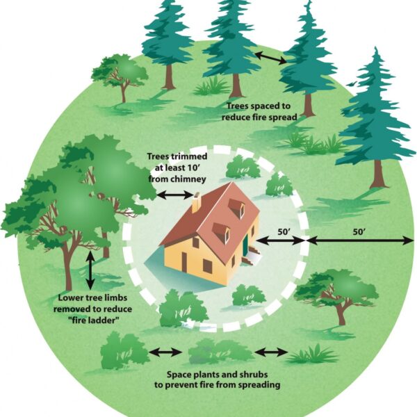 tips to help during a wildfire