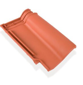 Red lusa roman