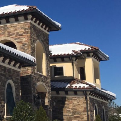 Eagle Capistrano Snow Winter